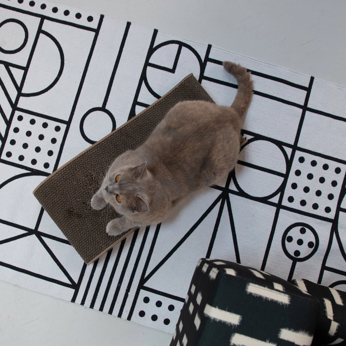 530eefaa603f09ca861b1441b74e987fc85fe8a7b120d5b58c81bf557b48a694 - Stylebox