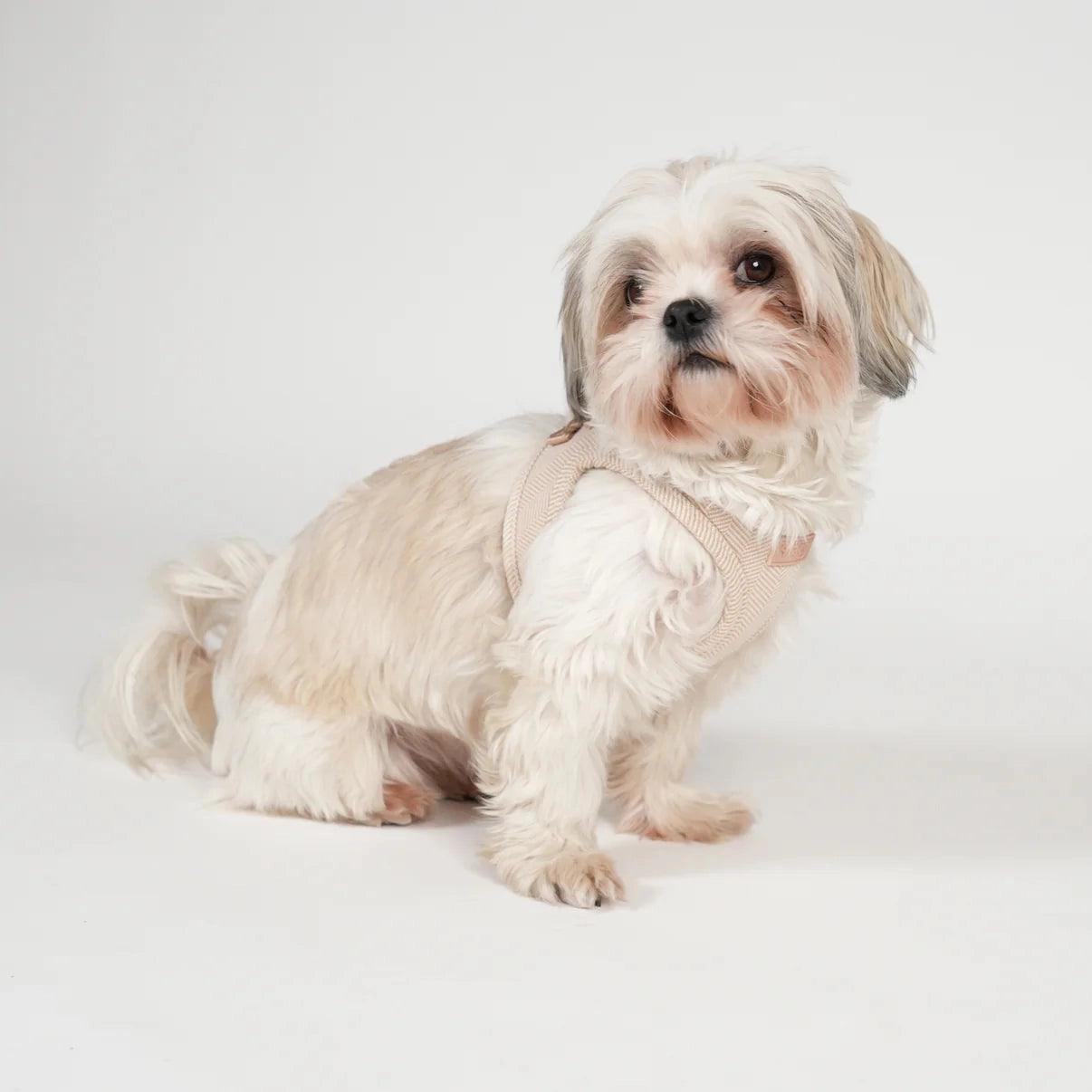 Staey dog harness, Light Rose