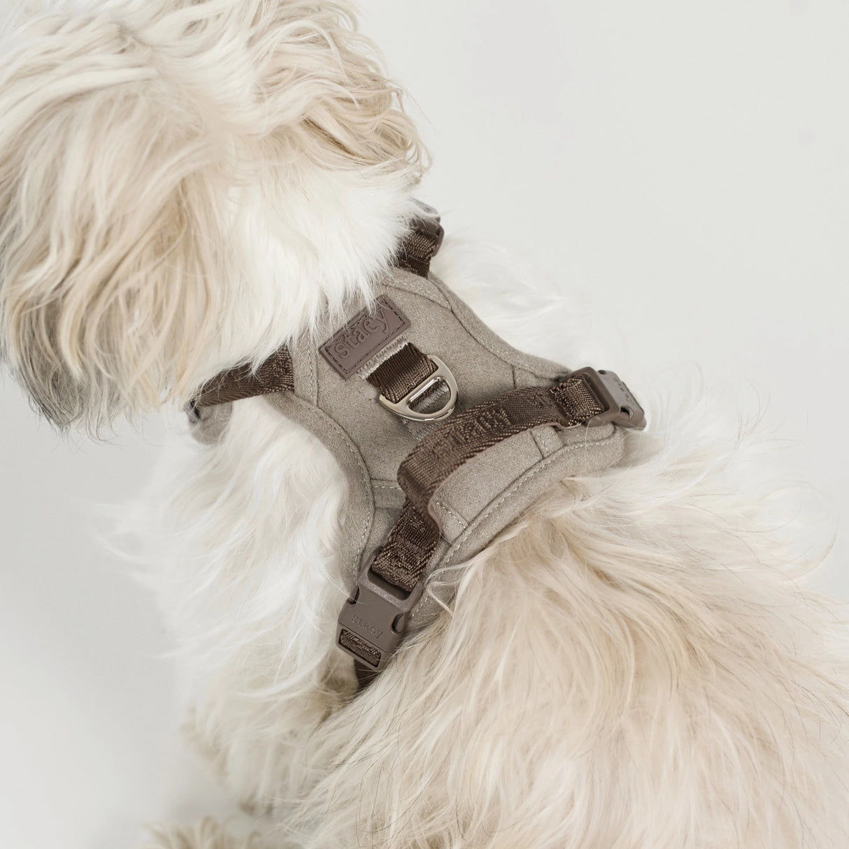 Staey Elma dog harness, sand
