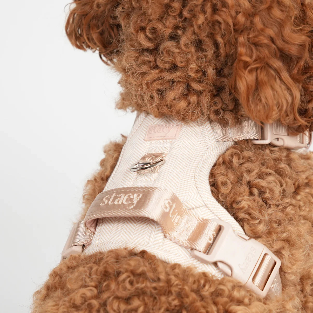Staey Elma dog harness, light rose