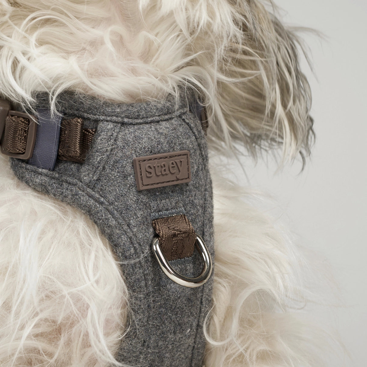 Staey Elma dog harness, stone