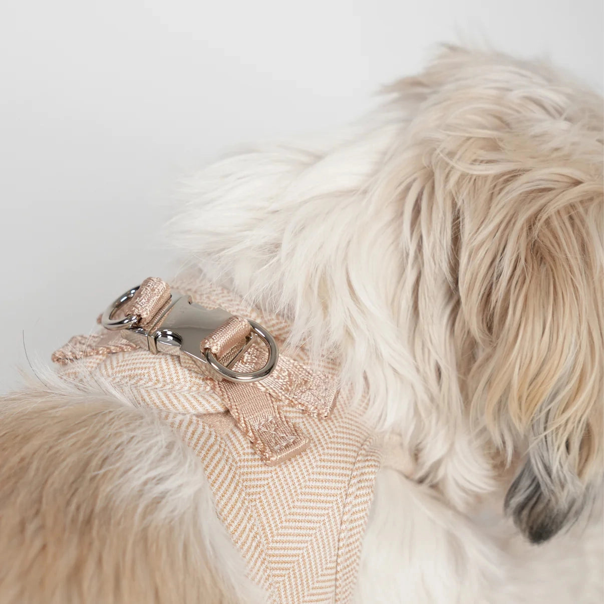 Staey dog harness, Light Rose