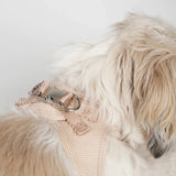 Staey dog harness, Light Rose