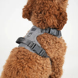 Staey dog harness, grey