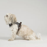 Staey Elma dog harness, stone