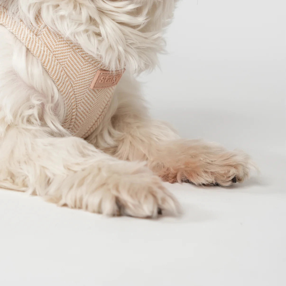 Staey dog harness, Light Rose