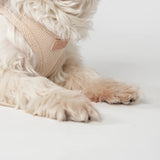 Staey dog harness, Light Rose