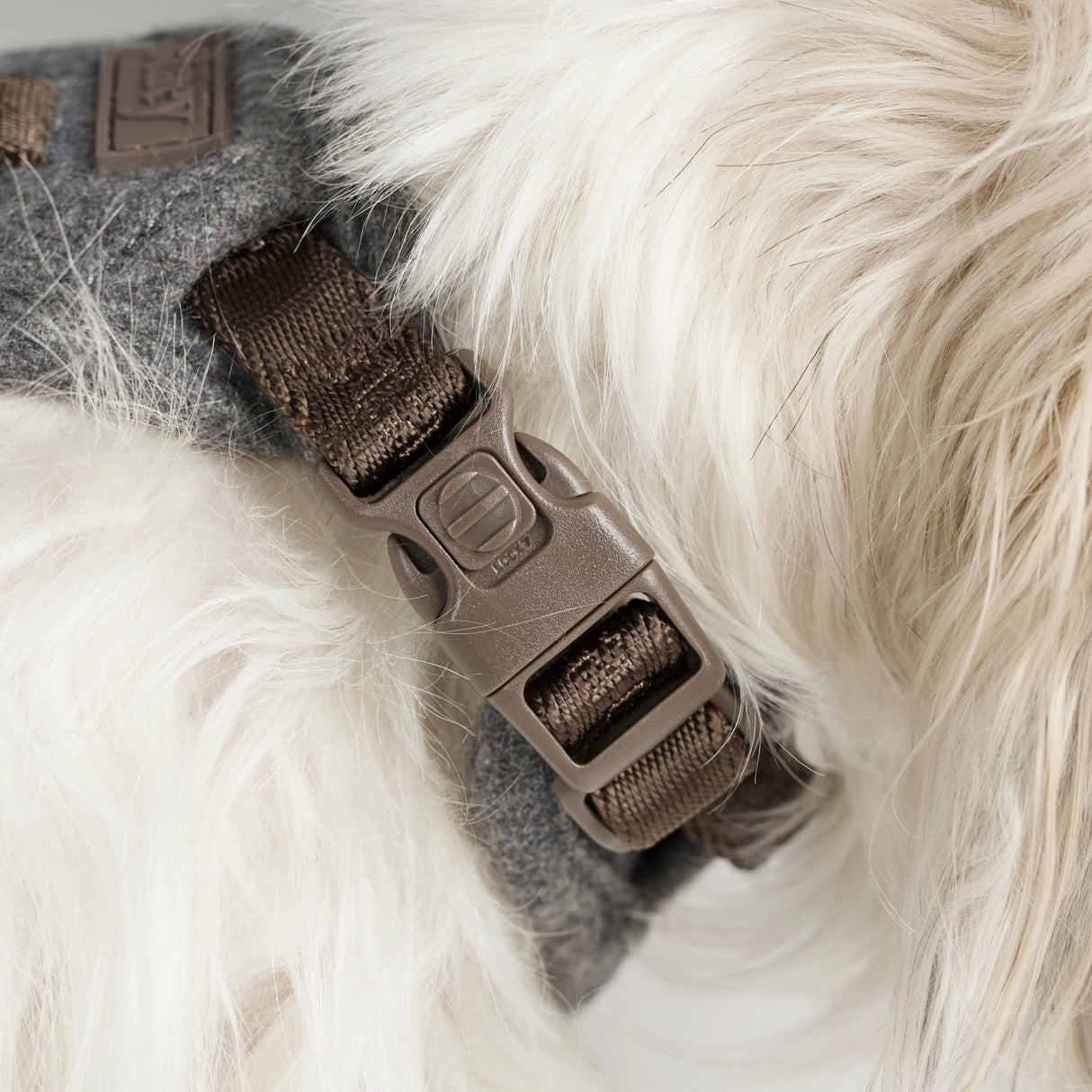 Staey Elma dog harness, stone