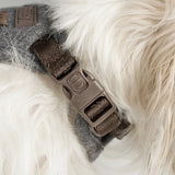 Staey Elma dog harness, stone