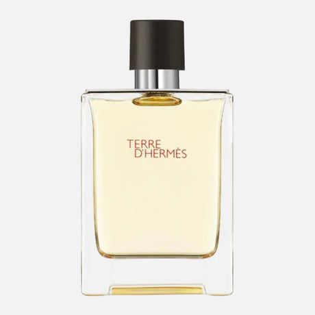 Hermès Terre d'Hermès EDT 50ml x2