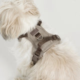 Staey Elma dog harness, sand