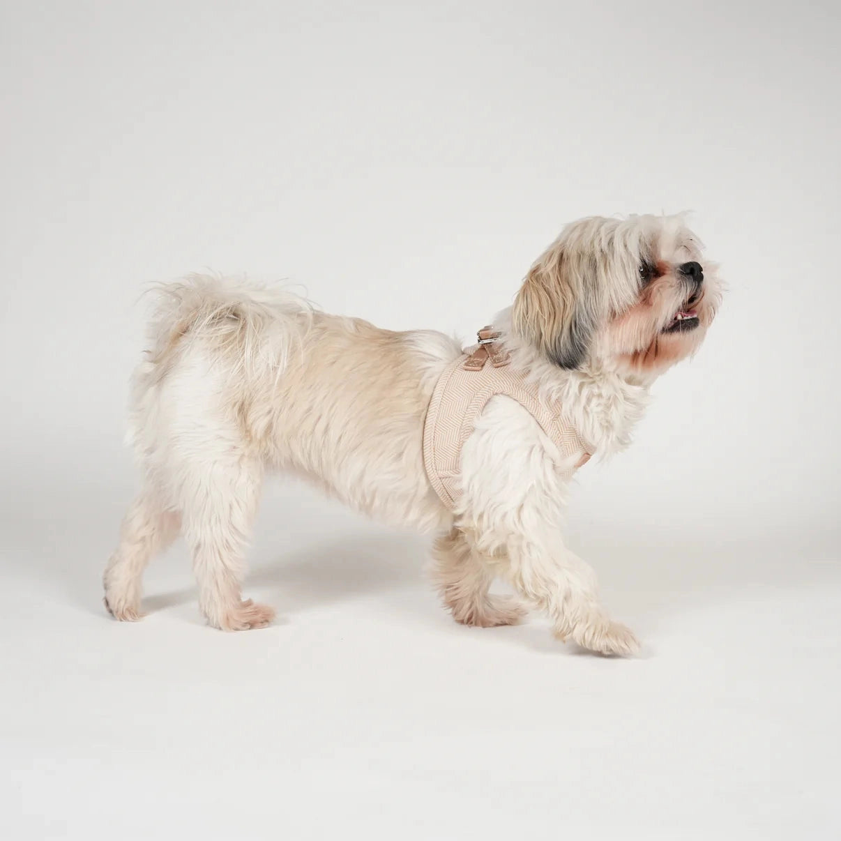 Staey dog harness, Light Rose