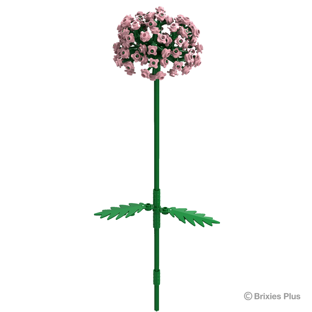 Allium_Art.Nr.222.117 - Stylebox