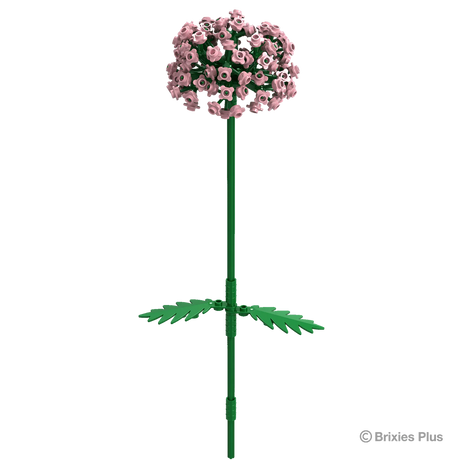 Allium_Art.Nr.222.117 - Stylebox