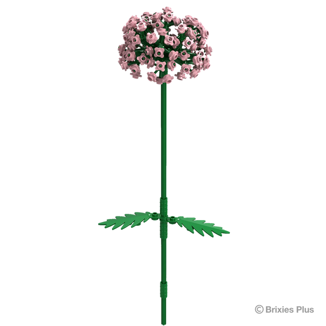 Allium_Art.Nr.222.117 - Stylebox