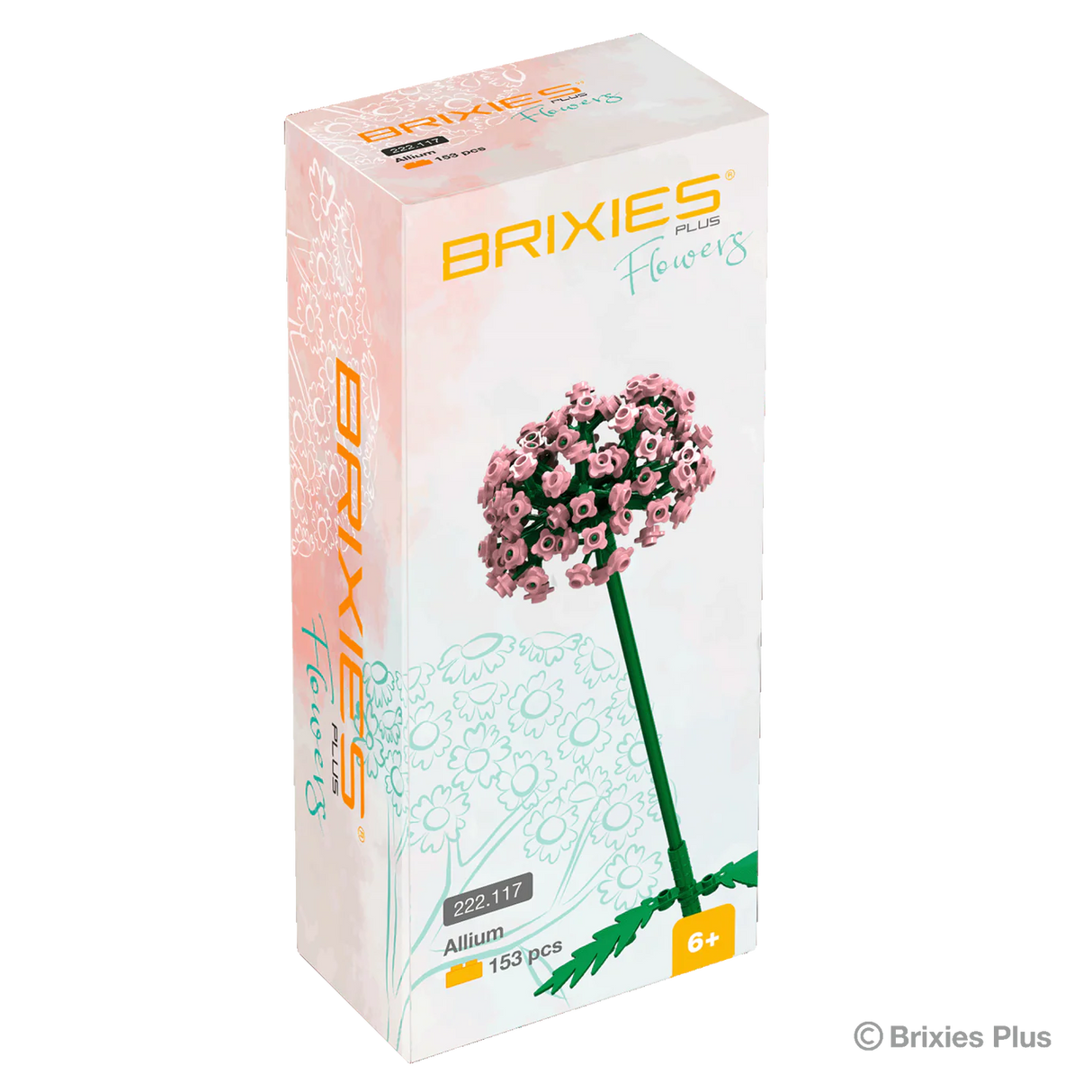 Allium_Art.Nr.222.117_Verpackung - Stylebox