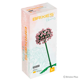 Allium_Art.Nr.222.117_Verpackung - Stylebox