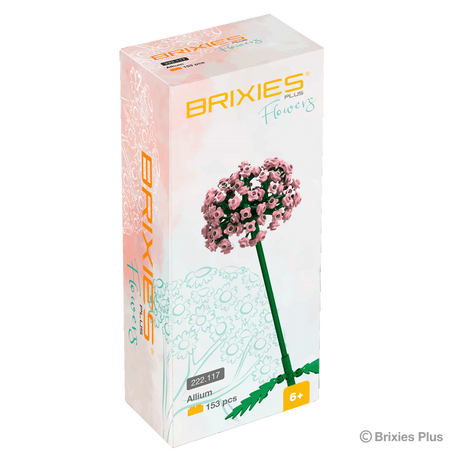 Allium_Art.Nr.222.117_Verpackung - Stylebox