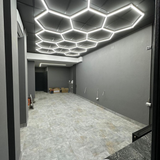 14 Hexagon LED light, 6500K, Non-dimmable