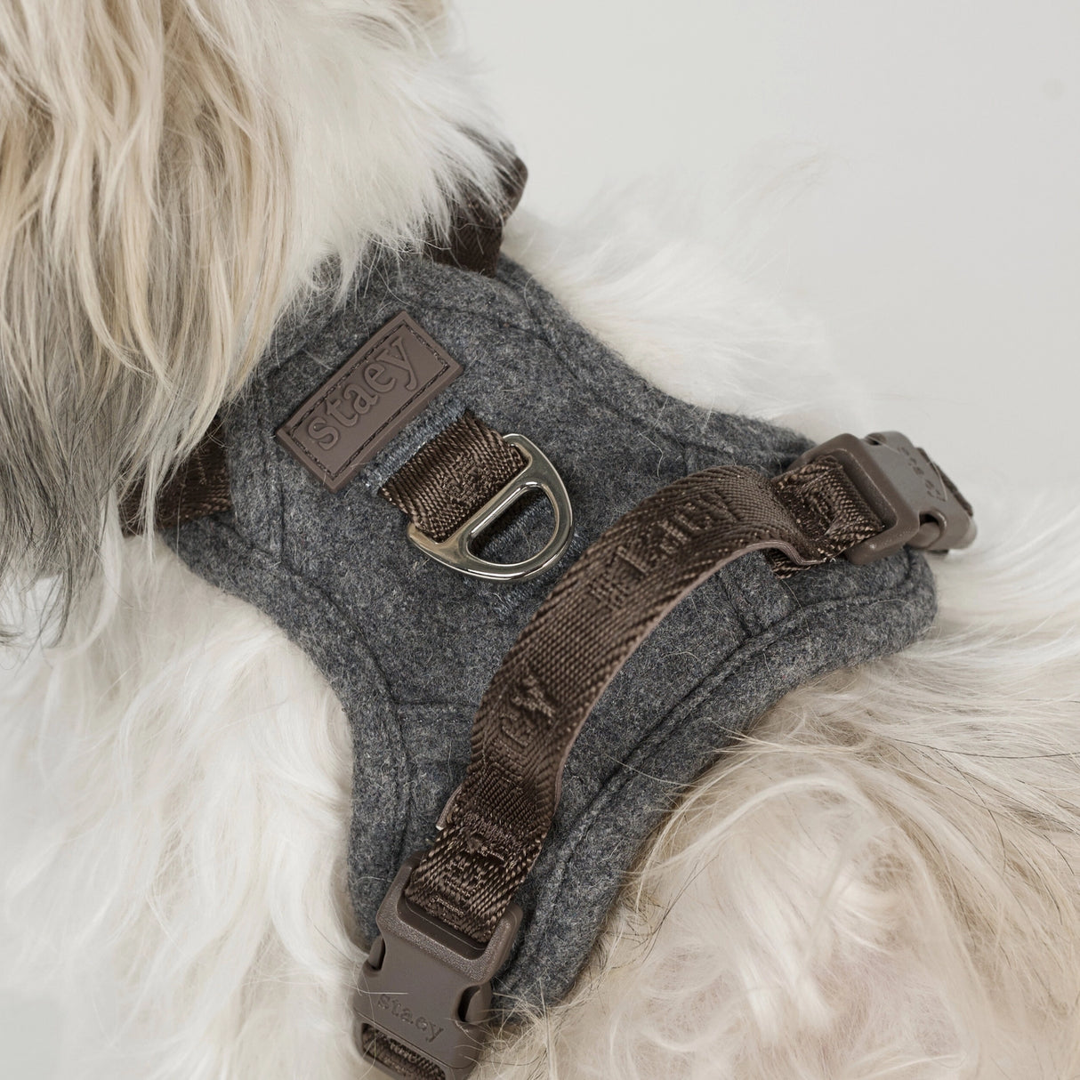 Staey Elma dog harness, stone