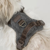 Staey Elma dog harness, stone