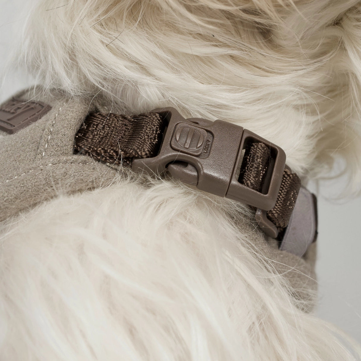 Staey Elma dog harness, sand