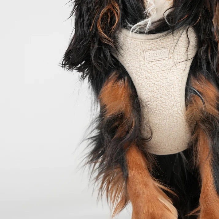 Staey dog harness, beige