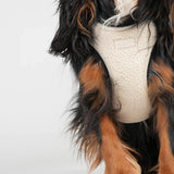 Staey dog harness, beige