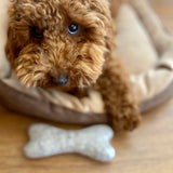 Felt Bone for Dogs – 100% Natural Wool | Durable Dog Toy 1 pc